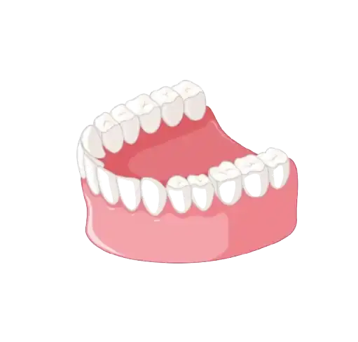 Partial Denture